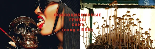 эйфоретик Богородск