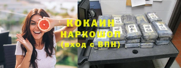 сатива Белоозёрский