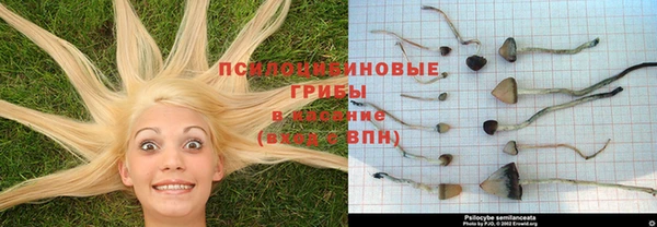 мет Новодвинск