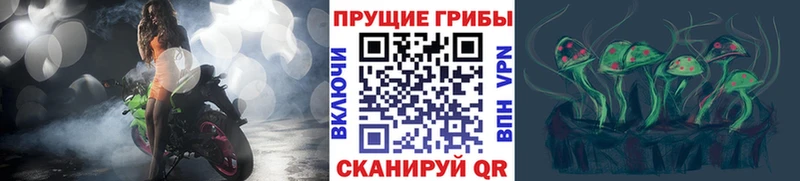 ссылка на мегу маркетплейс  Онега  Галлюциногенные грибы Cubensis  как найти наркотики 